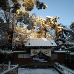 「鉄旅日記」2022年新春 初日（東京－湯瀬温泉）その1 ‐松戸、神立、友部、水戸、いわき（常磐線）　【巨大な土偶が貼りつく木造駅を見たくて冬の東北を旅しました。】