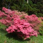 「鉄旅日記」2022年皐月 初日（東京－磐梯熱海）その2 ‐文挟、鹿沼、鶴田、宇都宮（日光線）　【日光線全駅乗降を果たし、猪苗代湖畔に遊び、磐梯熱海の湯につかり、国定忠治を訪ねた旅でございます。】