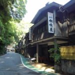 「鉄旅日記」2022年皐月 ツレと訪ねた下部温泉～富士宮～田子の浦旅でございます。初日（東京－下部温泉） ‐市川大門、下部温泉（身延線）【Facbookへの投稿より振り返ります。】