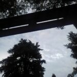 2022年晩夏【SNSへの投稿より】写真をお楽しみいただけますと幸いでございます。ー金町夕景～金蓮院、葛西神社、江戸川堤