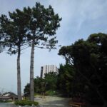 「鉄旅日記」2022年盛夏 最終日（大津－東京）その4 ‐舞阪、高塚、静岡（東海道本線）【讃州高松に時空の友を訪ねて。小海線、津山線、播但線、山陰本線の駅旅も印象深い旅でございます。】