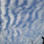 2022年秋【SNSへの投稿より】秋の江戸川堤の景色をご堪能くださいませ。