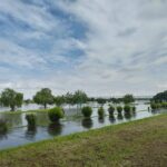 2023年 台風頃【SNSへの投稿より】水没した江戸川河川敷の衝撃を残した記録でございます。