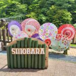 「鉄旅日記」2023年入梅の頃 ツレと訪ねた塩原温泉郷での記憶でございます。／西那須野駅【Facbookへの投稿より振り返ります。】